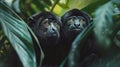 Costa rican jungle howler monkeys in lush foliage, dynamic wildlife with hyperrealistic detail