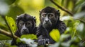 Costa rican jungle howler monkeys in lush foliage, dynamic wildlife, hyperrealistic detail