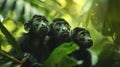 Costa rican jungle howler monkeys in lush habitat with diverse wildlife, hyperrealistic detail