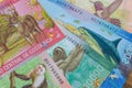 Costa Rican money, paper banknotes of a country from Central America
