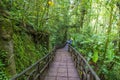 Costa Rican rain forest