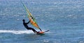 Windsurfer moving at speed on the ocean. Royalty Free Stock Photo