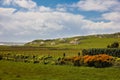 Landscape. Malin Head. Inishowen. county Donegal. Ireland Royalty Free Stock Photo