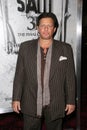 Costas Mandylor Royalty Free Stock Photo