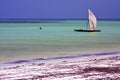 Costline boat pirague in the blue lagoon relax of africa