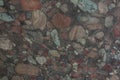 Costly Aquarius Granite with a frozen amazing pattern of many colorful pebbles
