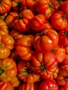 Costoluto Genovese tomatoes on the market Royalty Free Stock Photo