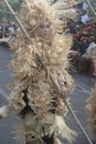 costume made of bamboo into carnival