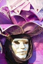 Costumed Reveler of the Carnival of Venice