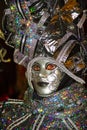 Costumed Reveler of the Carnival of Venice