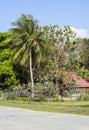 Cosy cottage among palm trees Royalty Free Stock Photo