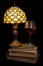 Cosy evening read with red wine Royalty Free Stock Photo