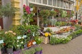 Cosy flowershop in The Hagues