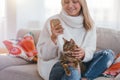 Cosy home family bengal cat girl petting