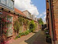 Cosy street with typical Dutch houses with front garden in a street in Utrecht, the NEtherlands