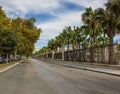 Cosy streets of Malaga, Spain. Exotic plants and trees at cityscape with cloudy dramatic blue sky in the summer.