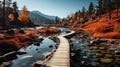 Cosy wooden path along the river bank surrounded by trees on an autumn sunny day. Royalty Free Stock Photo