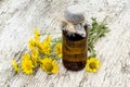 Cota tinctoria (Anthemis tinctoria) and pharmaceutical bottle