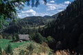 Cotage and the beautiful scenic forests on sky background in Carpathian Mountains, Ukraine