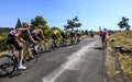 Team Jumbo-Visma - Le Tour de France 2022 Royalty Free Stock Photo