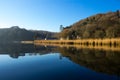 Cotehele, banks of the River Tamar , Cornwall