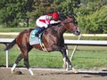 The Cotillion Stakes Winner Songbird