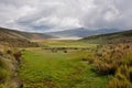 Cotopaxi National Park, Ecuador Royalty Free Stock Photo
