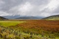 Cotopaxi National Park, Ecuador Royalty Free Stock Photo