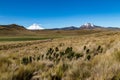 Cotopaxi and Sincholagua volcanoes