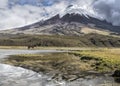 Cotopaxi volcano reflected in Limpiopungo lake and wild horse Royalty Free Stock Photo