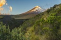 Cotopaxi volcano south face at sundown and paramo vegetation Royalty Free Stock Photo