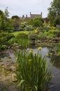 Cotswold cottage garden with wildlife pond, England Royalty Free Stock Photo