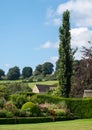 Cotswolds hills, with single Cypress tree on the right, taken near Bourton-on-the-Hill, Gloucestershire in England, UK