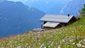 Cottage in the Alpine Royalty Free Stock Photo
