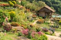 Cottage bamboo and flower garden Royalty Free Stock Photo