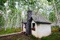 The cottage in birch forest Royalty Free Stock Photo