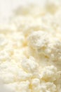 Cottage cheese Royalty Free Stock Photo