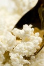 Cottage cheese Royalty Free Stock Photo