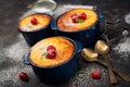 Cottage cheese casserole with cherries Royalty Free Stock Photo