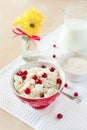 Cottage cheese with cranberry, glass of milk and sour cream