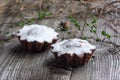 Cottage cheese cupcakes