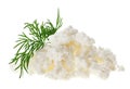 Cottage cheese (curd) heap with dill twig Royalty Free Stock Photo