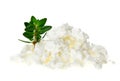 Cottage cheese (curd) heap with thyme twig Royalty Free Stock Photo