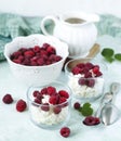 Cottage cheese with fresh raspberr. Royalty Free Stock Photo