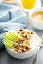 Cottage cheese with granola and apple Royalty Free Stock Photo