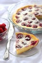 Cottage cheese pie with raspberries Royalty Free Stock Photo