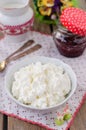 Cottage Cheese (Quark, Cream Cheese, Curd) in a White Bowl Royalty Free Stock Photo