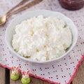 Cottage Cheese (Quark, Cream Cheese, Curd) in a White Bowl Royalty Free Stock Photo