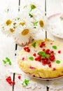 Cottage cheese red currant pie Royalty Free Stock Photo
