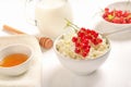 Cottage cheese and redcurrant in white bowl and honey Royalty Free Stock Photo